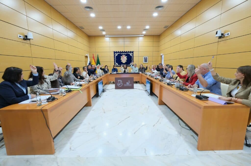 Un pleno de calado económico y social: comercio, artesanía y sector primario, prioridades del Cabildo