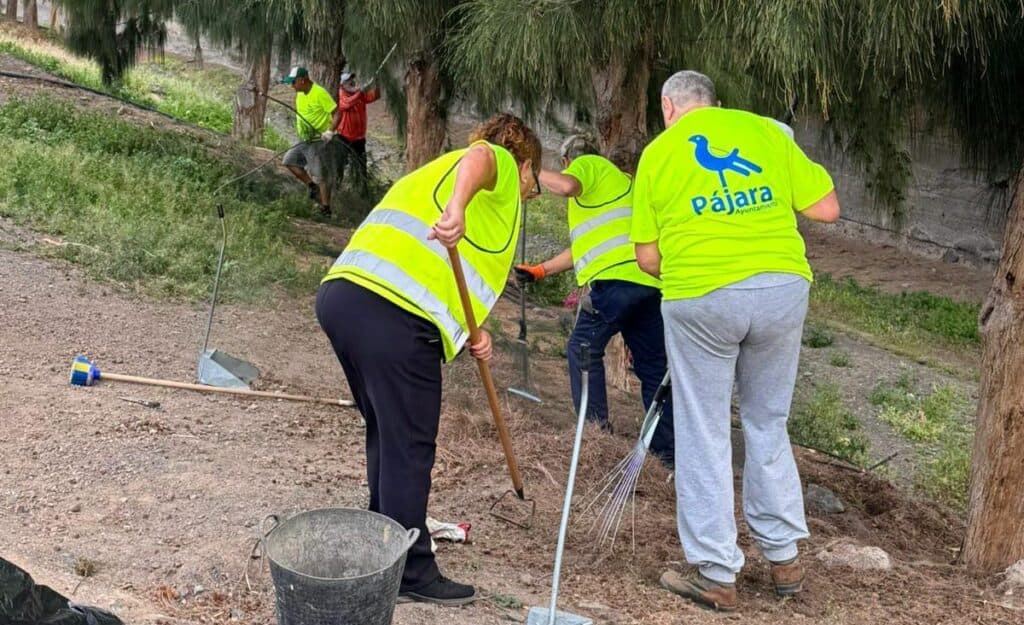 El Ayuntamiento de Pájara intensifica la limpieza y mejora de jardines en Morro Jable