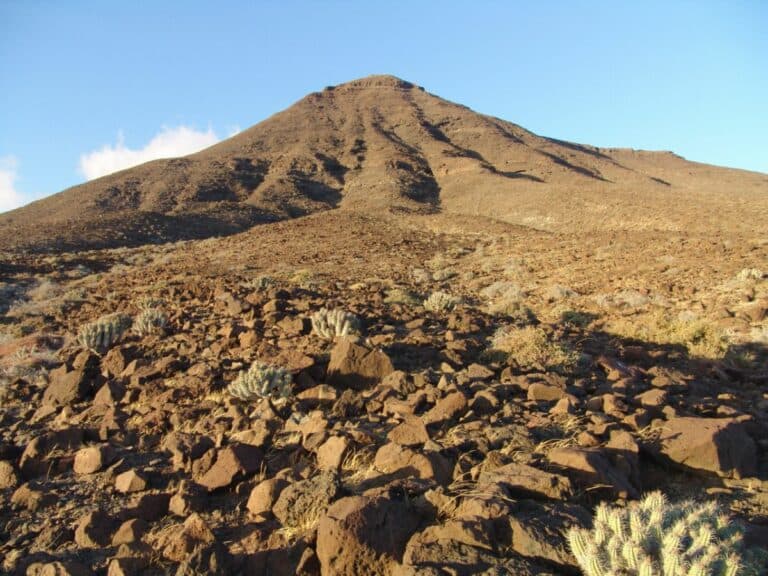 “Con inteligencia y determinación, se puede salvar Jandía”