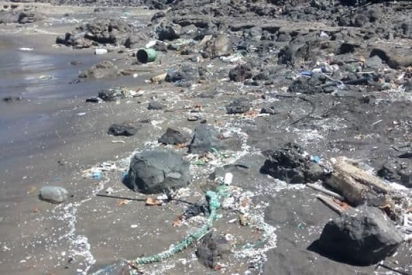 «Cada ciclo de lavado libera 700.000 fibras textiles al mar de Canarias»