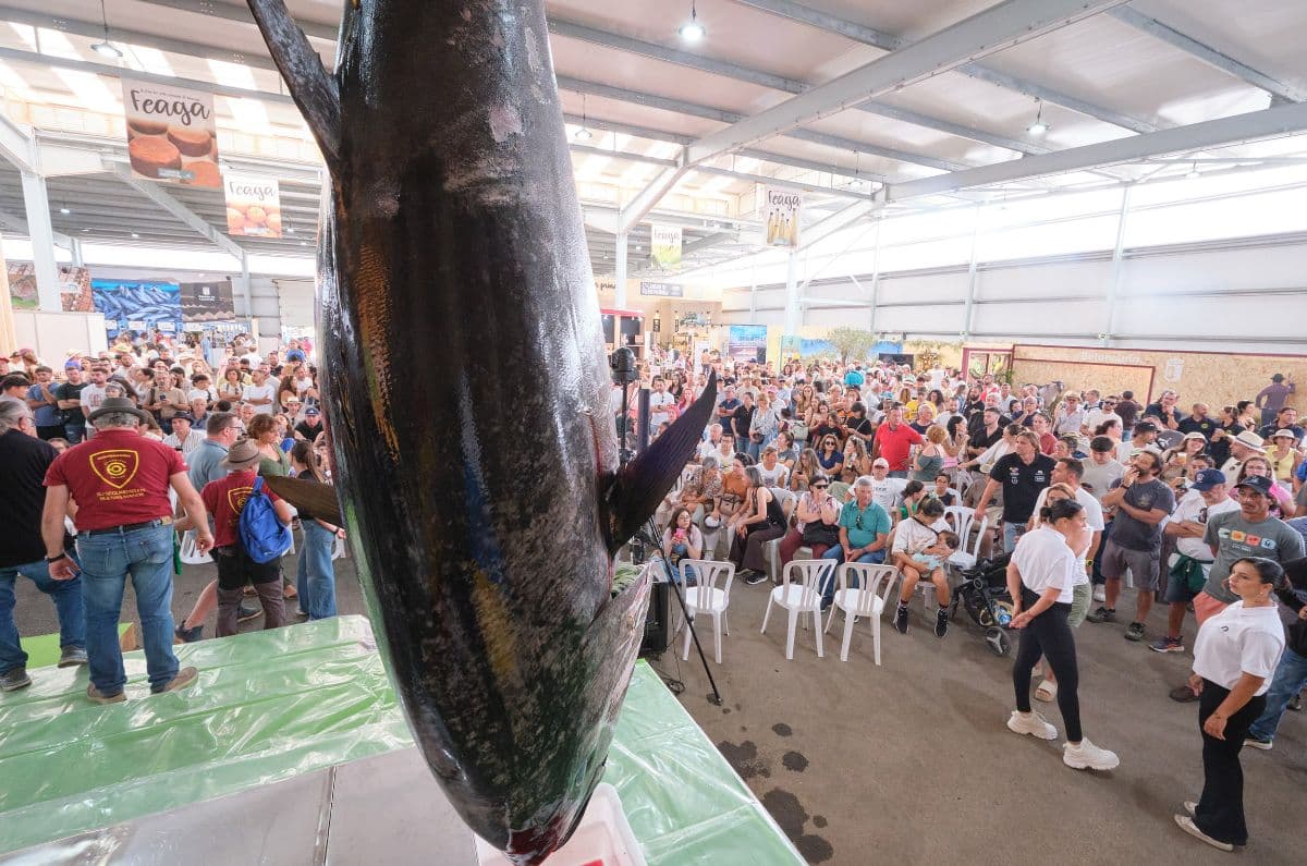Centenares de personas disfrutan del tradicional ronqueo del atún en Feaga 2026