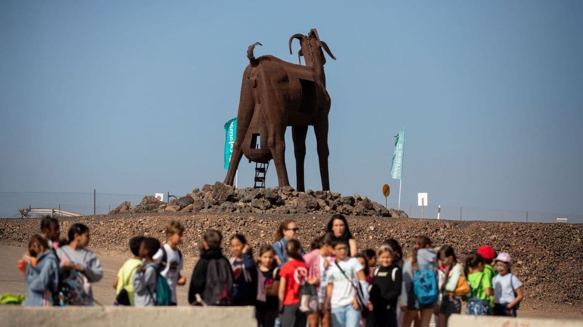 El sector responde a FEAGA: “Hay ganas de participar y de llevar animales a la feria”
