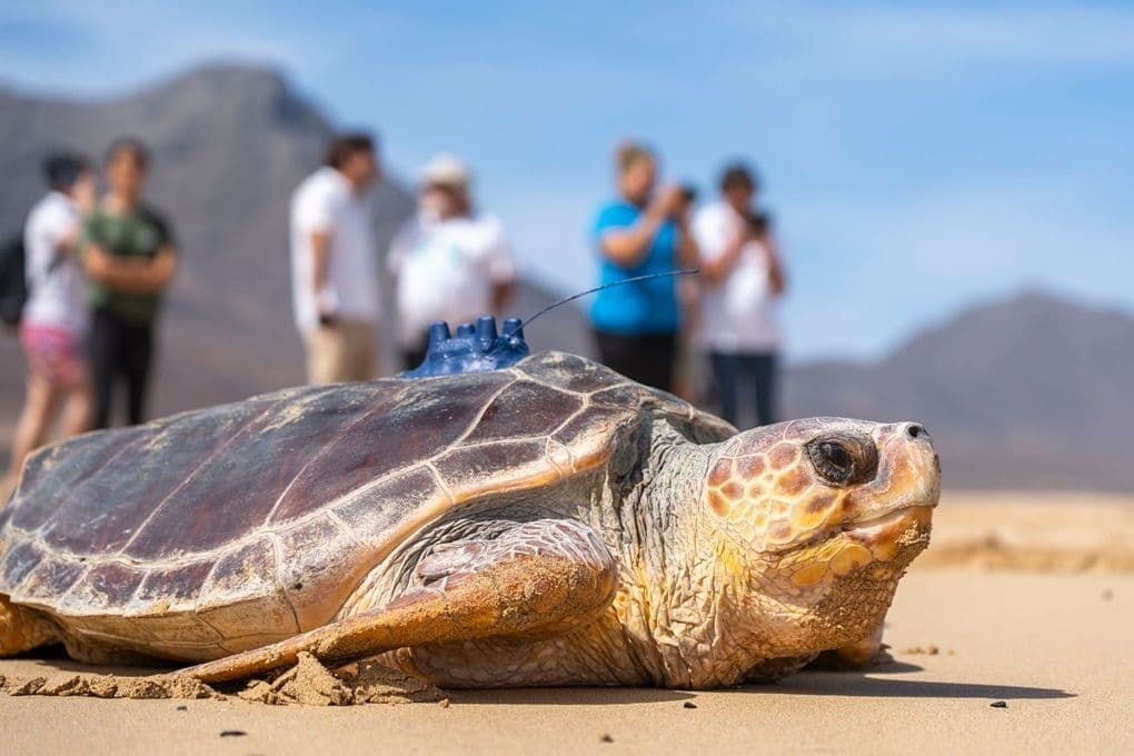 Fuerteventura acoge el primer gran encuentro de la Red Canaria de Reservas de la Biosfera con una jornada abierta a la ciudadanía