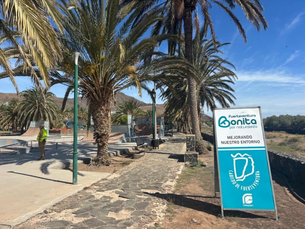 El Cabildo interviene en 223 palmeras de Gran Tarajal para mejorar su estado fitosanitario