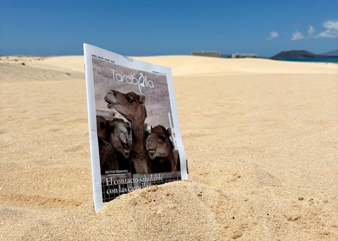 Tarabilla: El sueño de la periodista Itziar Fernández hecho revista, cumple un año