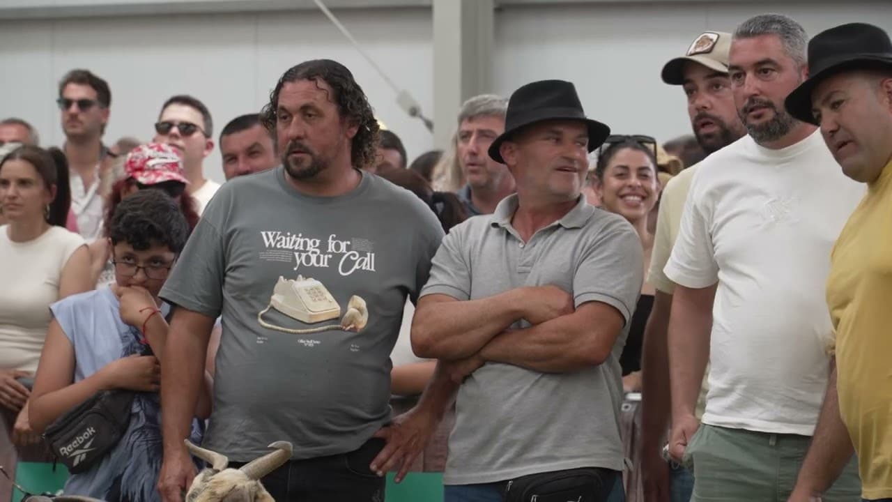 Finaliza el concurso de ordeño manual en FEAGA