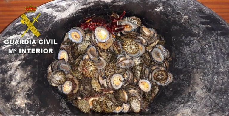 Denunciado en Corralejo un pescador furtivo reincidente con 5 kilos de lapas