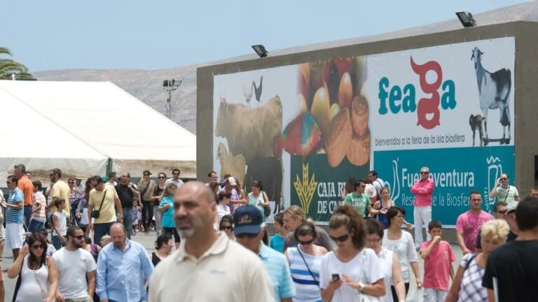 Desperfectos en las naves de Pozo Negro ponen en peligro la celebración de FEAGA