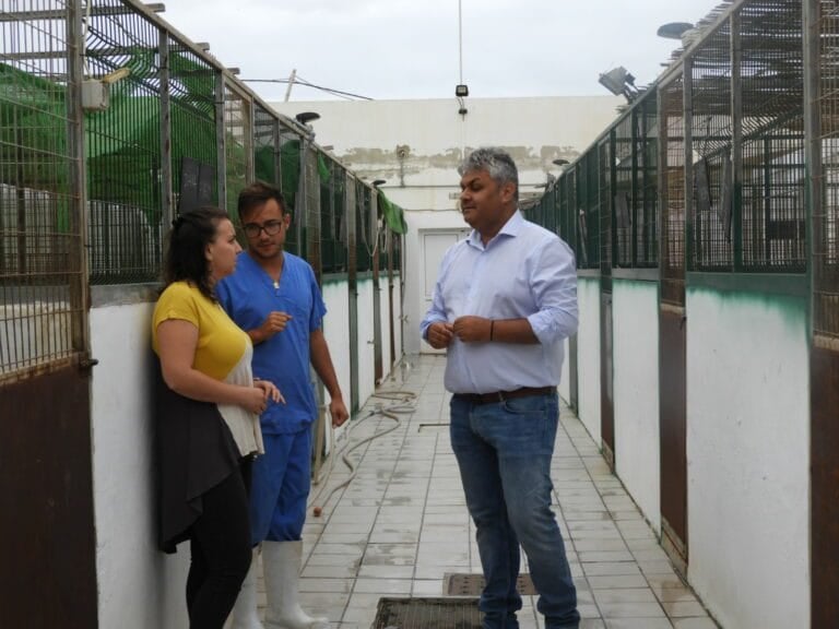 Nuevo SOS de la perrera portuense para incentivar las adopciones