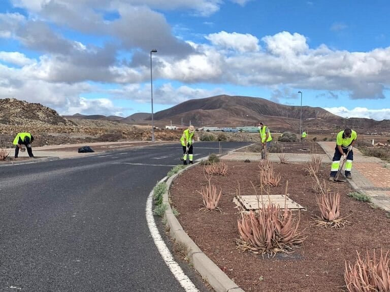 El PSOE lamenta que el Cabildo despida a 44 trabajadores de un Plan de Empleo