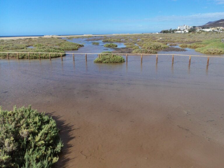 Pájara conmemora el Día Mundial de los Humedales
