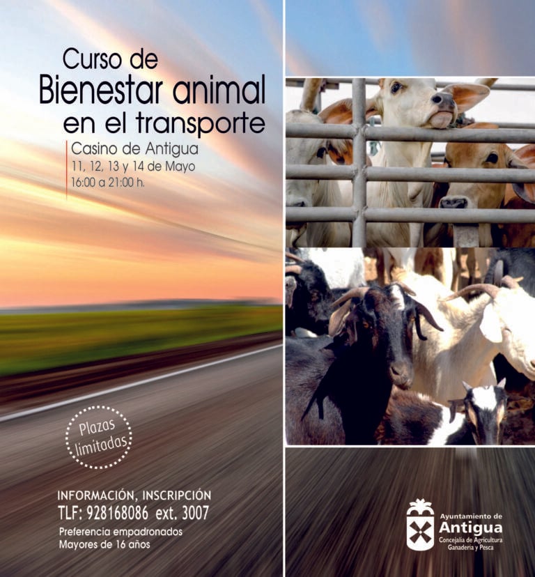 Antigua anuncia una tercera edición del Curso de Bienestar Animal en el Transporte