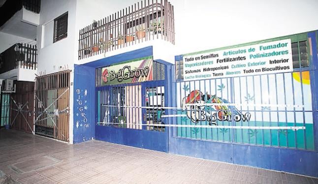 Condenan por tráfico de drogas a la directiva del club cannábico Acmefuer