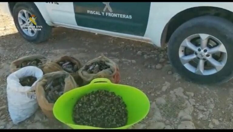 Tres personas denunciadas en Fuerteventura por capturar 250 kilos de mejillones