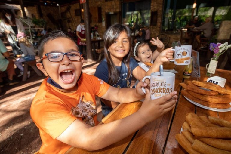 El mercado solidario Oasis Market celebra su 12 aniversario