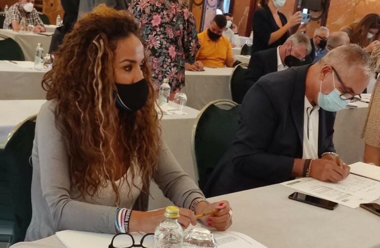 Carmen Alonso participa en el Pleno de la Mesa de Transporte Terrestre de Canarias