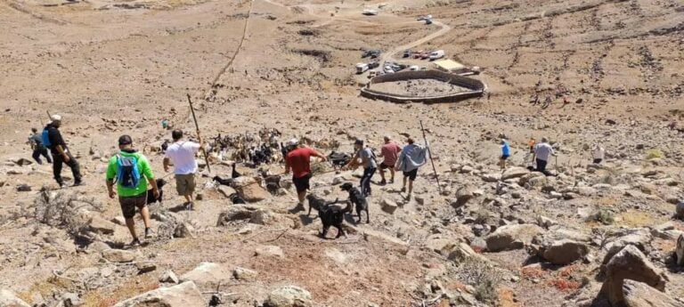 El Cabildo de Fuerteventura rendirá homenaje a las apañadas tras su declaración como Bien de Interés Cultural Inmaterial