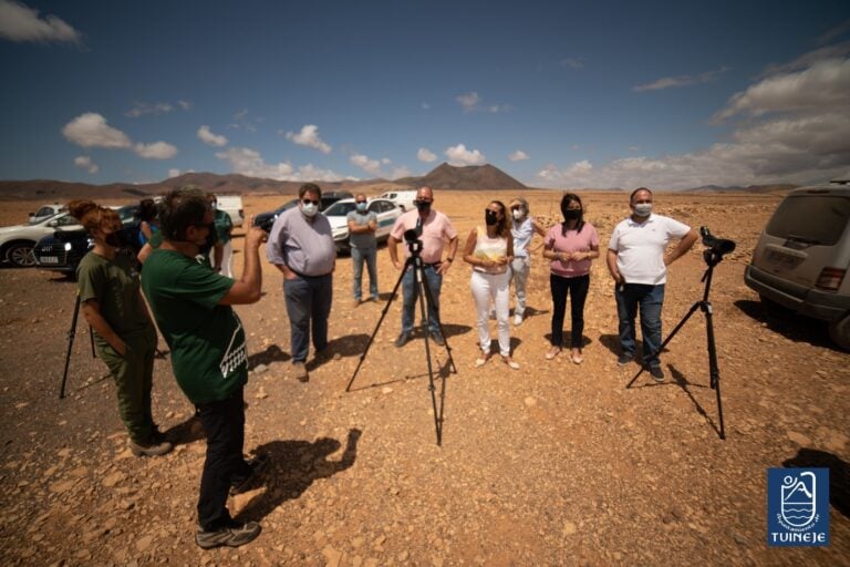 Tuineje se consolida como núcleo para la nidificación y conservación del guirre