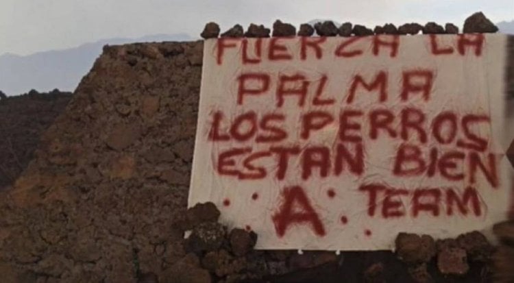 Abren diligencias contra ‘el equipo A’ por el rescate de los perros en La Palma