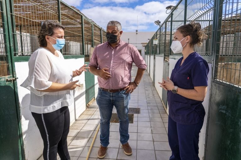 A licitación la contratación de personal para los servicios de la perrera municipal