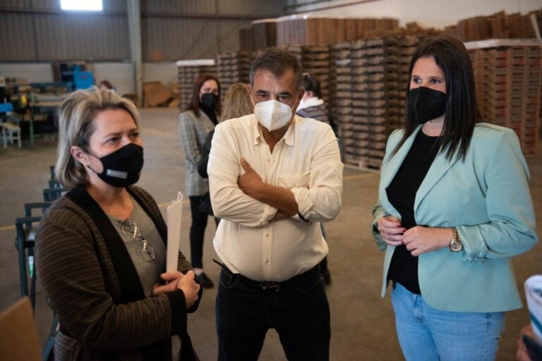 Tuineje apuesta por recuperar el sector primario del municipio