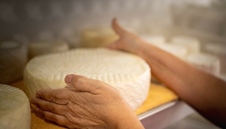 Curso de elaboración de quesos de leche de cabra, mantequilla y otros derivados lácteos