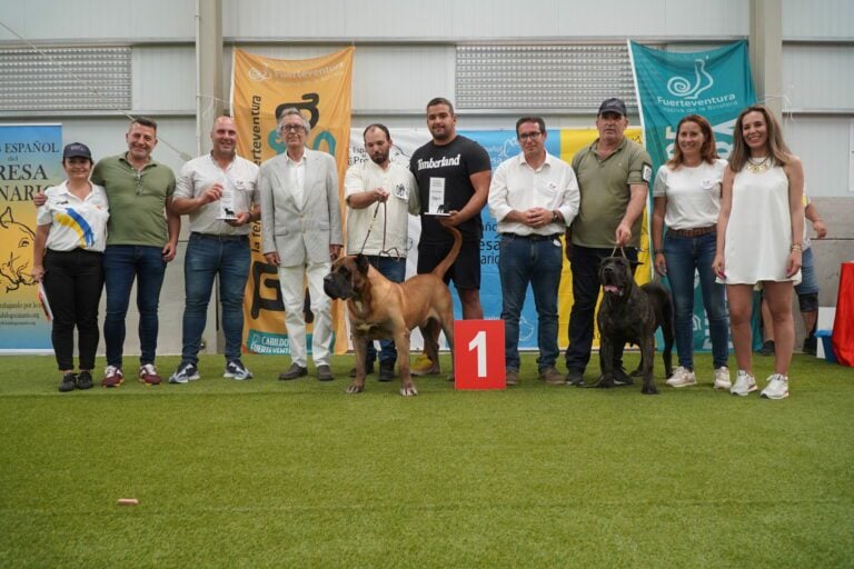 Cincuenta ejemplares participan en el I Concurso Monográfico del Presa Canario