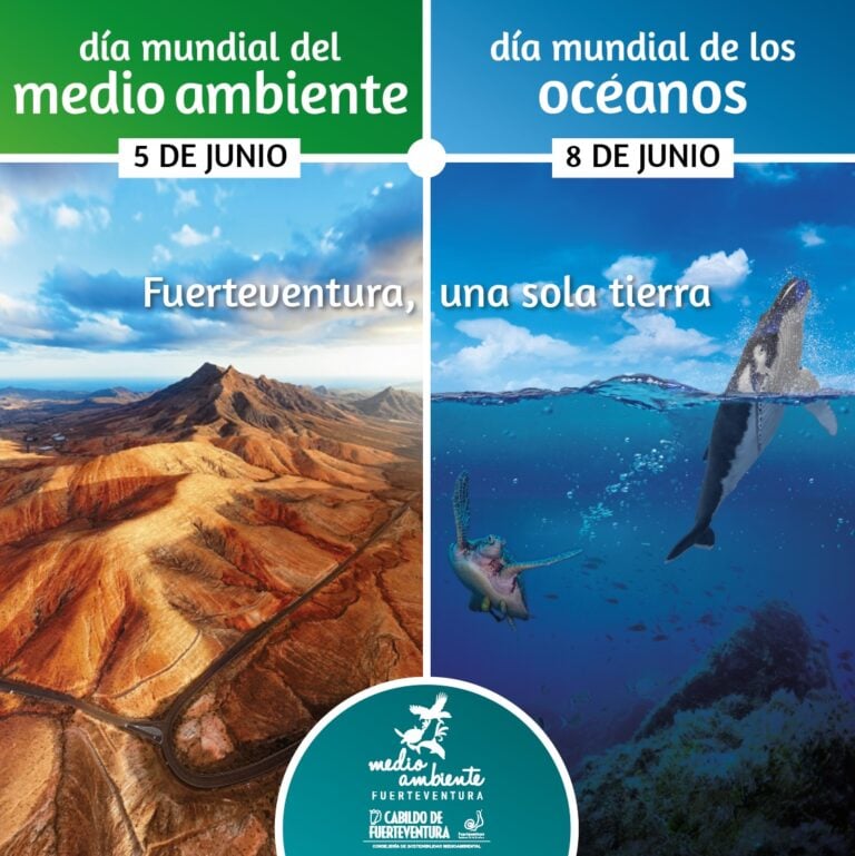 Avistamiento de cetáceos para celebrar Día de Medio Ambiente en Fuerteventura