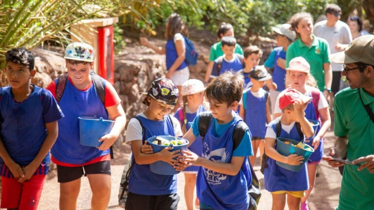 El 25 de julio comienza la escuela de verano OASIS CAMP