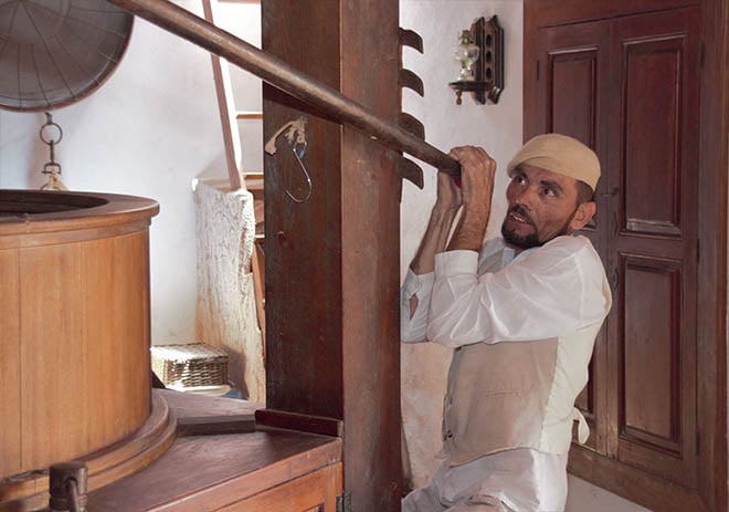 El Cabildo felicita a la Molina de La Asomada por su distinción especial en Agrocanarias 2023