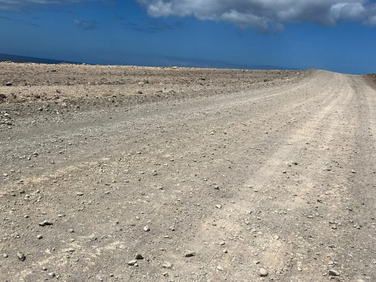 El PSOE denuncia el mal estado de la carretera de El Puertito a pocos días de comenzar sus fiestas