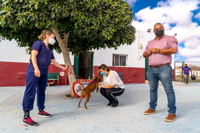 Comunicado del Ayuntamiento de Puerto del Rosario sobre la perrera municipal