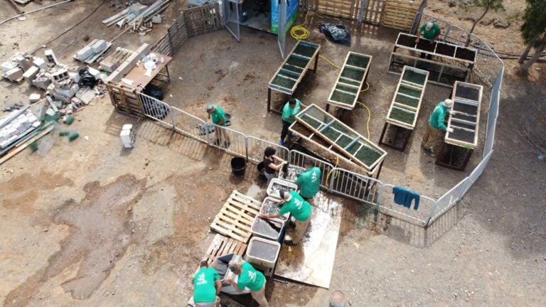 Finalizan con éxito las labores del Plan de Empleo para la Transición Ecológica del Cabildo