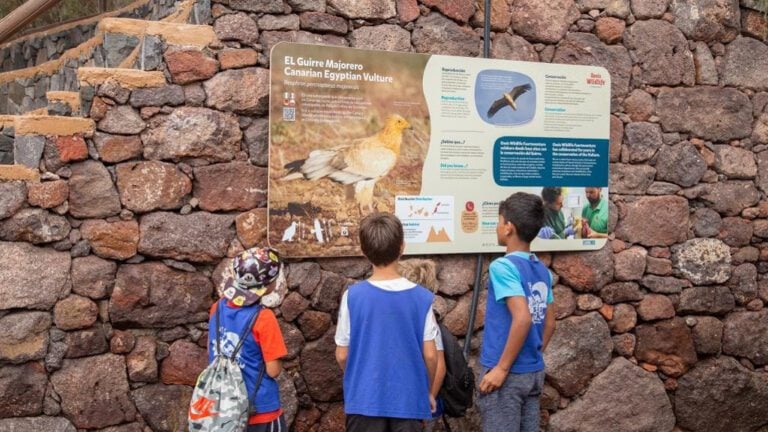 Oasis Wildlife cierra sus puertas este domingo por alerta máxima de lluvias