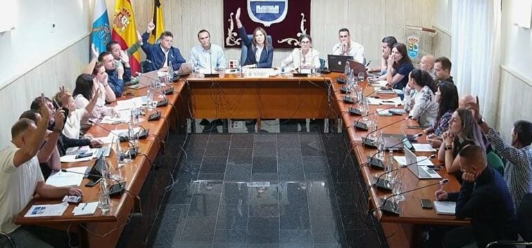 Un nuevo concejal de En Marcha renuncia a su acta en La Oliva