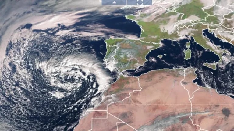 La borrasca provoca daños en el campo canario valorados en cuatro millones