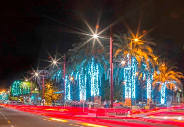 Mercado Navideño en la Plaza de la Paz con productos de la tierra