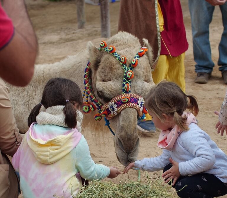 El camino de Sus Majestades de Oriente abre de nuevo sus puertas