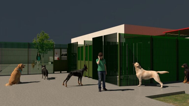 Puerto del Rosario comienza el proyecto de ampliación de la perrera municipal