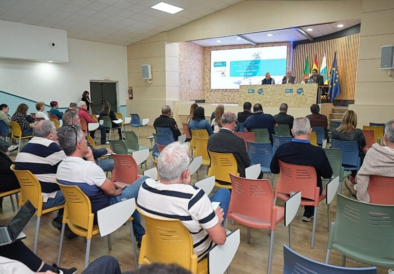 El nuevo Plan de Transporte y Movilidad de Fuerteventura podría acceder a fondos europeos