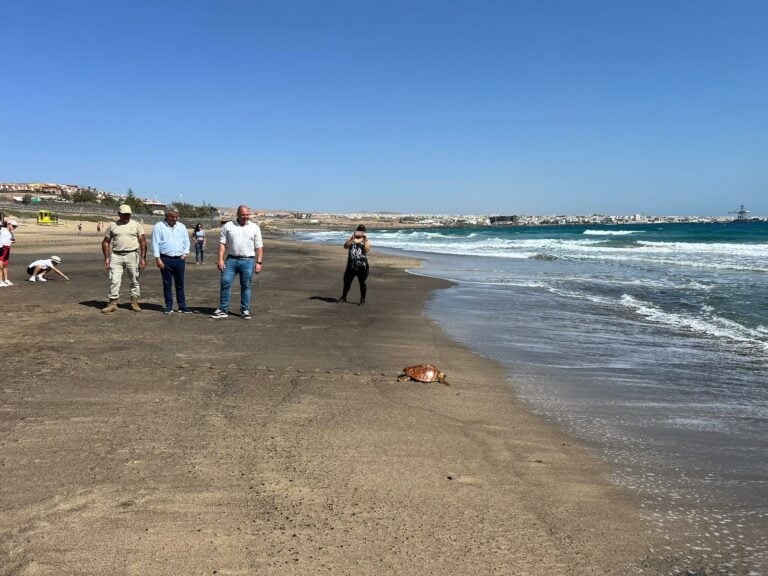 Dos tortugas regresan al mar en Playa Blanca tras ser recuperadas por Medio Ambiente
