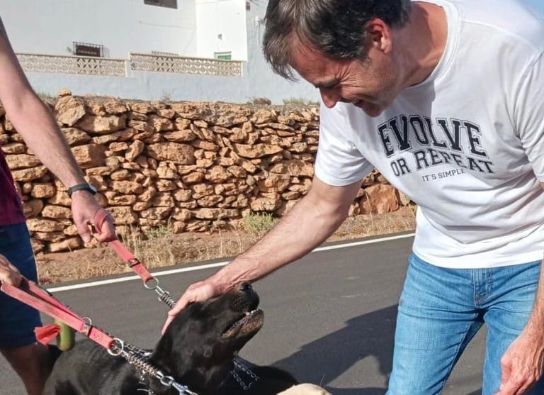 Enseñat (PP): “Puerto del Rosario debe ser una ciudad amiga de los animales”