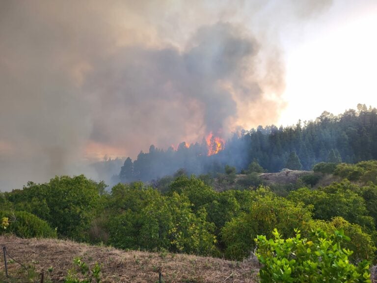 El incendio de La Palma afecta a 140 hectáreas, quema 11 viviendas y 500 personas desalojadas