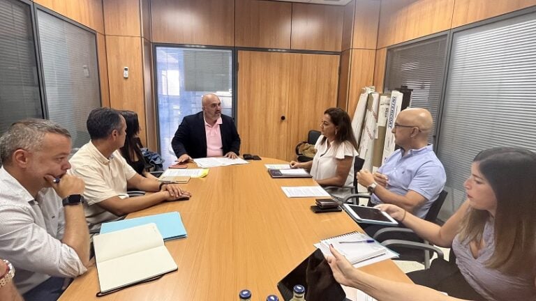 Cabildo y Gesplan estudian la situación del PIOF y otros trece documentos de ordenación