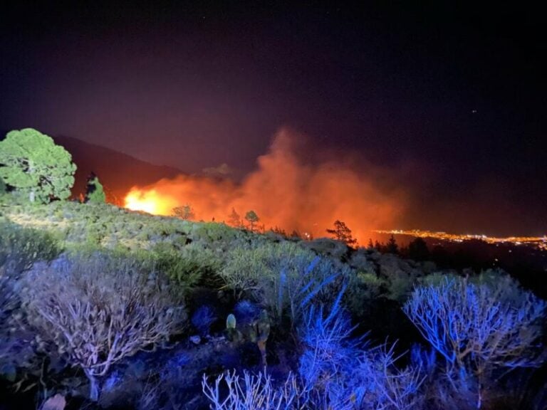 El incendio de Tenerife sigue sin estar controlado 21 días después de comenzar