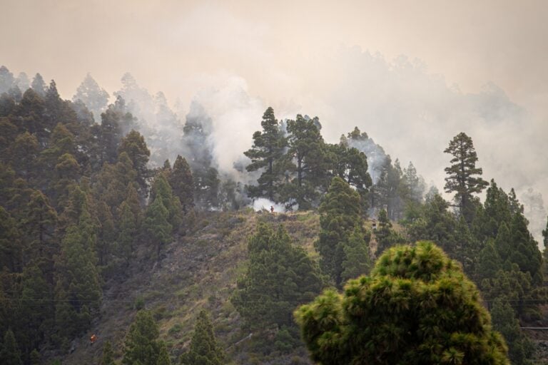 La quema de un contenedor en una fiesta, posible causa del incendio en La Palma