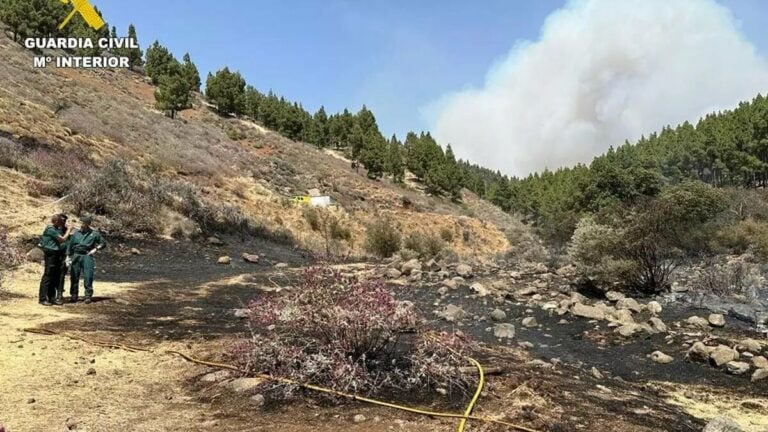 Investigan a un hombre de 29 años como presunto autor del incendio de Gran Canaria