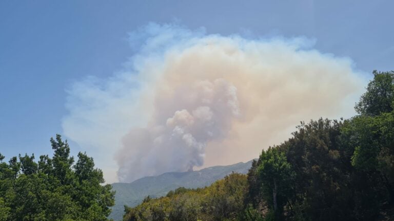 La superficie afectada por el incendio de Tenerife alcanza las 800 hectáreas
