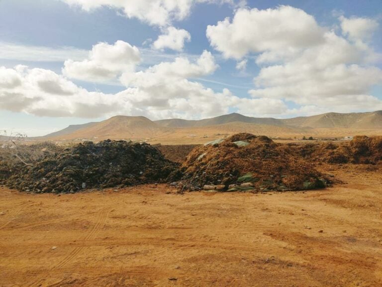 Retiran las algas de la playa de Puerto Lajas