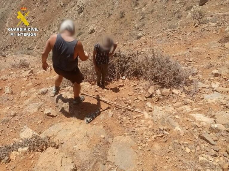 Investigan por desobediencia grave a un cazador furtivo de Fuerteventura que había sido inhabilitado